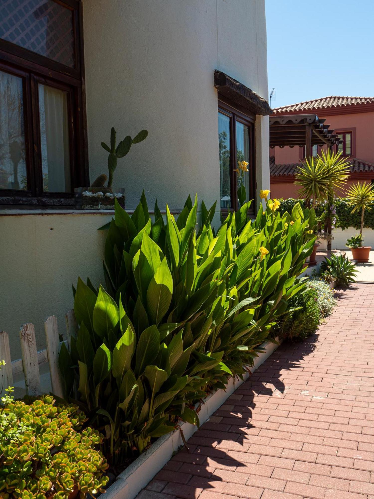 Villa Ibicenca Love Benalmádena Exteriér fotografie